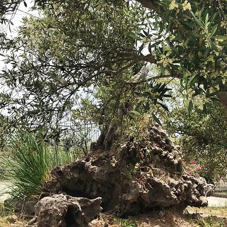 Villa Oros *